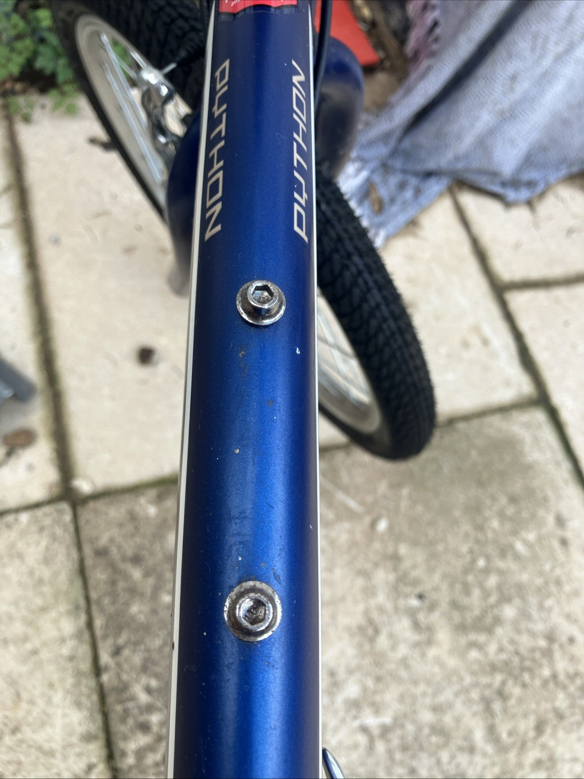 Python Folding Bike
