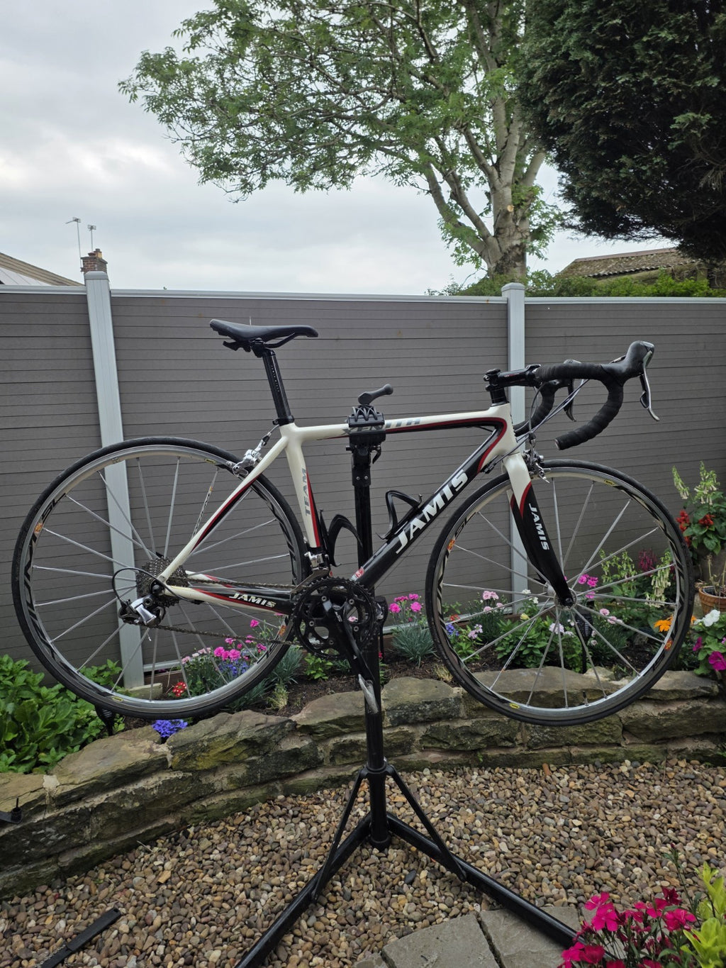 Jamis Xenith Team Carbon Road Bike 52cm