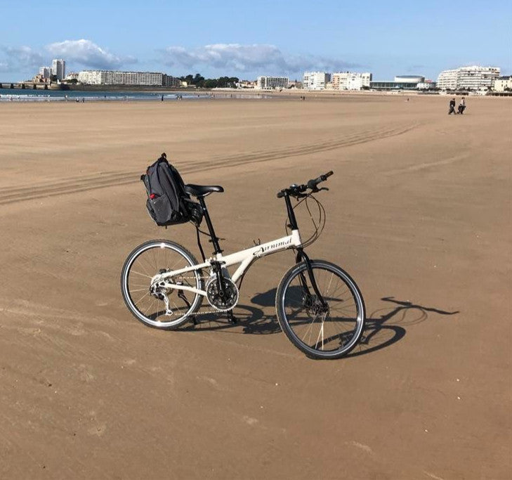 Airnimal Joey Folding Bike