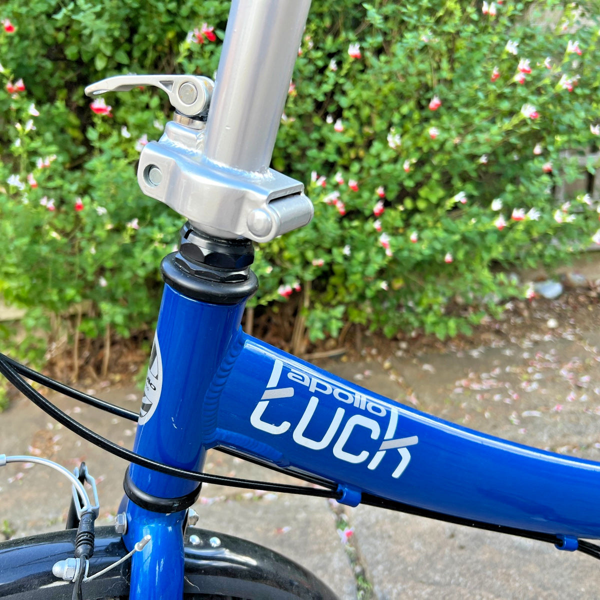 Apollo Tuck Folding Bicycle – Lightweight Steel Frame, 6‑Speed, Compact Fold.
