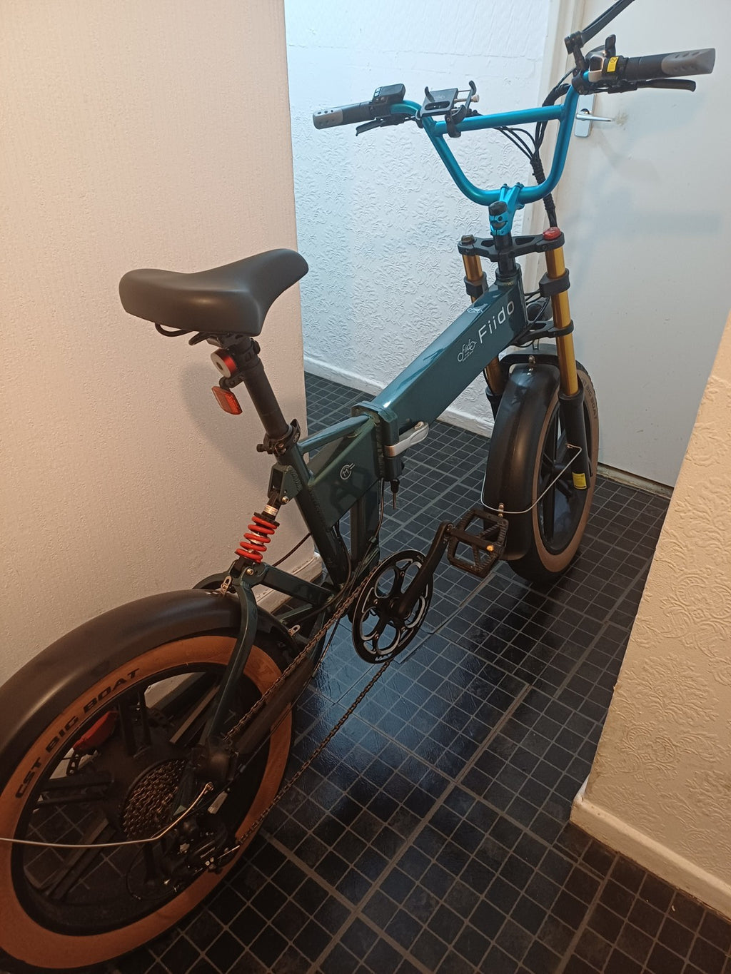 Fiido M1 Pro 2025The bicycle has been used very little for health reasons. I am