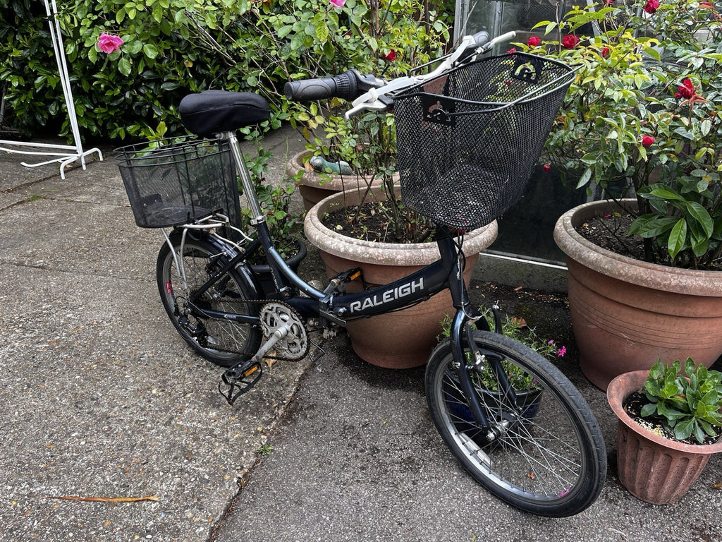 Raleigh Evo Folding Bike