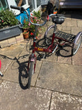 Pashley Tri-1 Adult Folding Trike