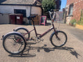 Pashley Tri-1 Adult Tricycle - folding 15'' frame