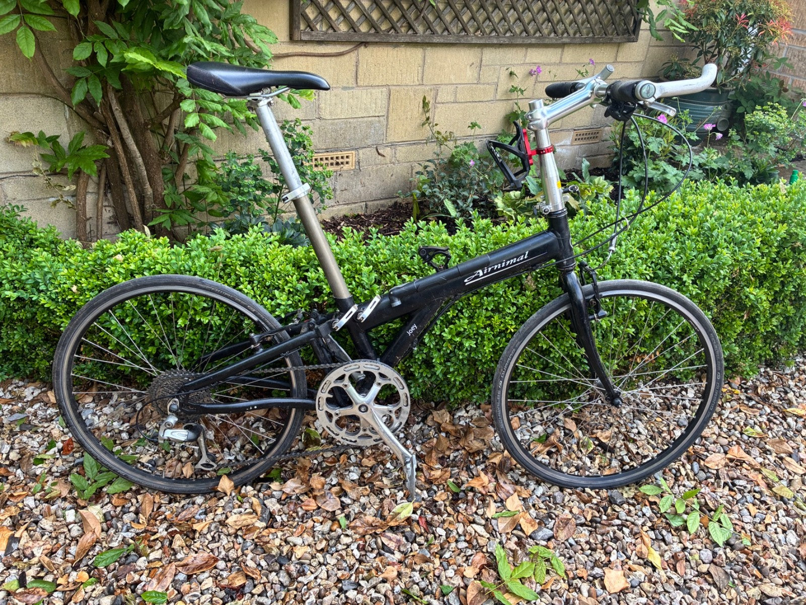 Airnimal Joey Folding and very fast commuting bike Bike