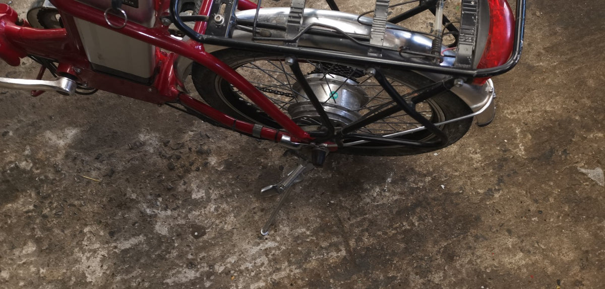 PRO-RIDER 20in E-Folding Bike 250W 36V 25km/h red
