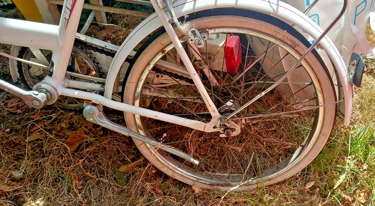 ladies folding bike