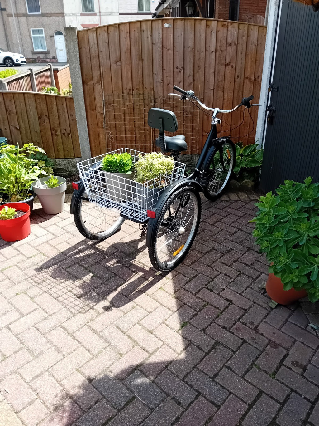 Folding Tricycle Bike adult size 24 inch wheel folding.