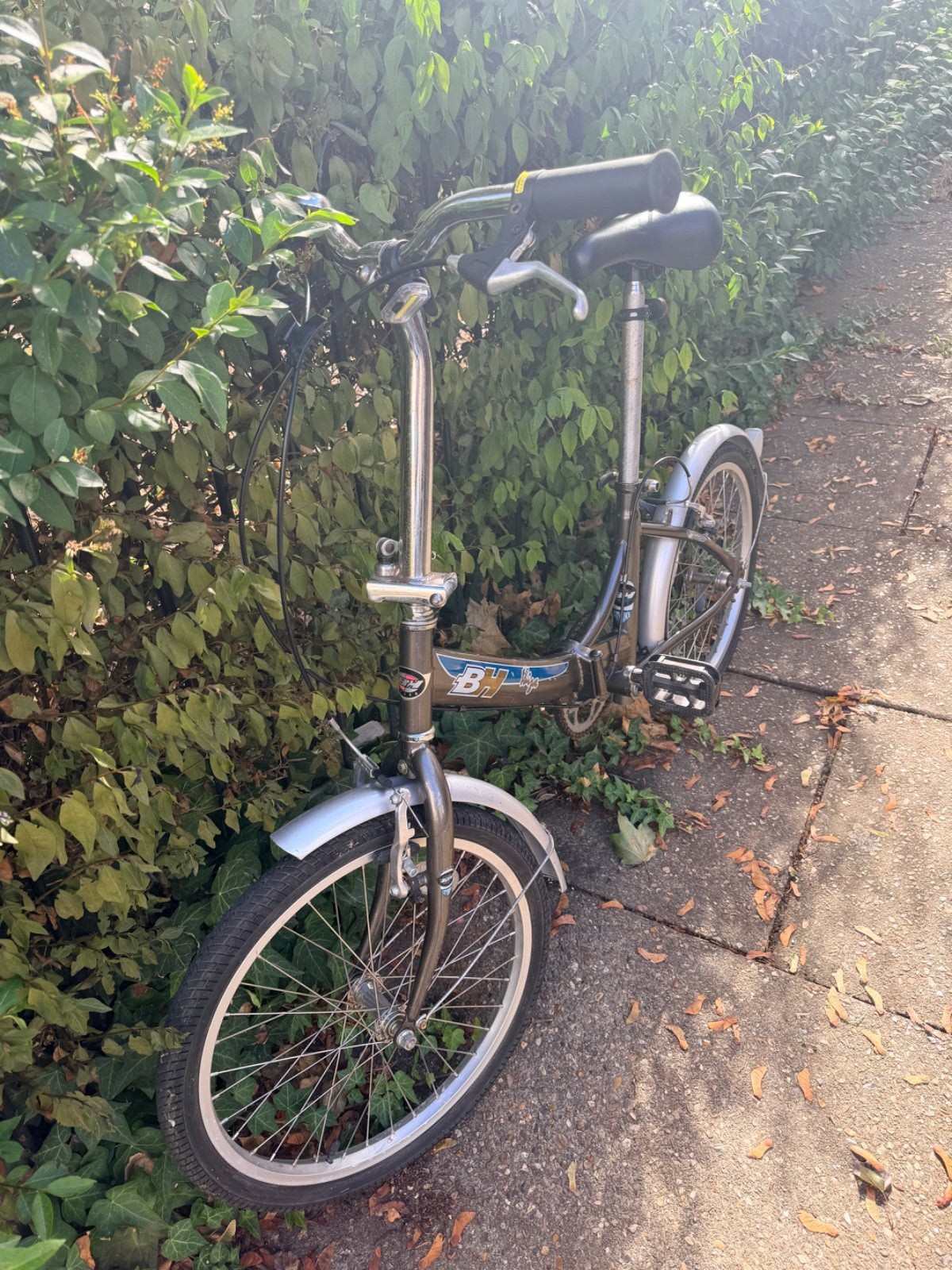 folding bike