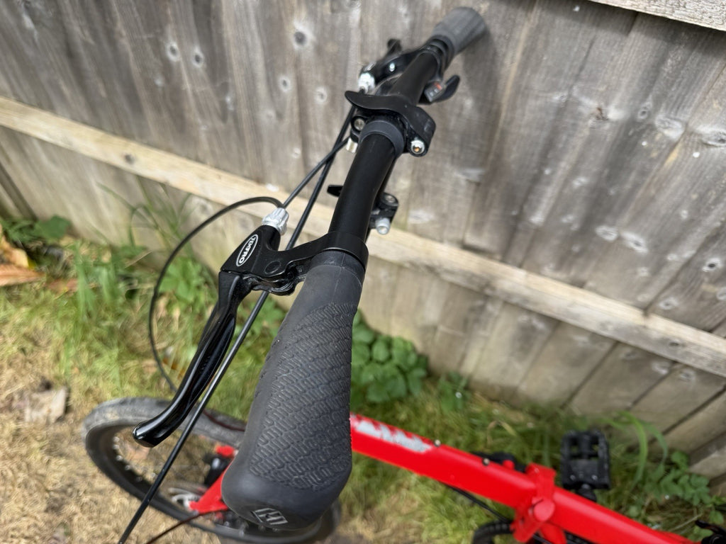 Carrera Intercity Folding Bike