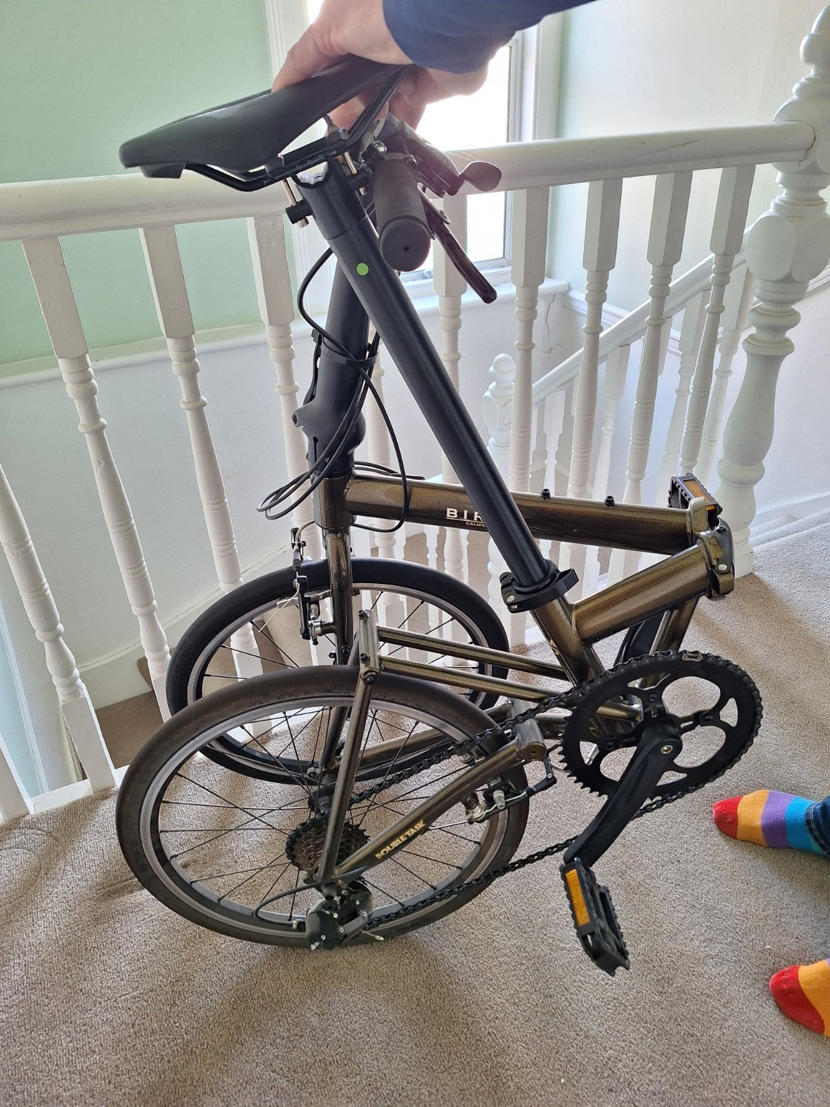 Birch California Folding Bike