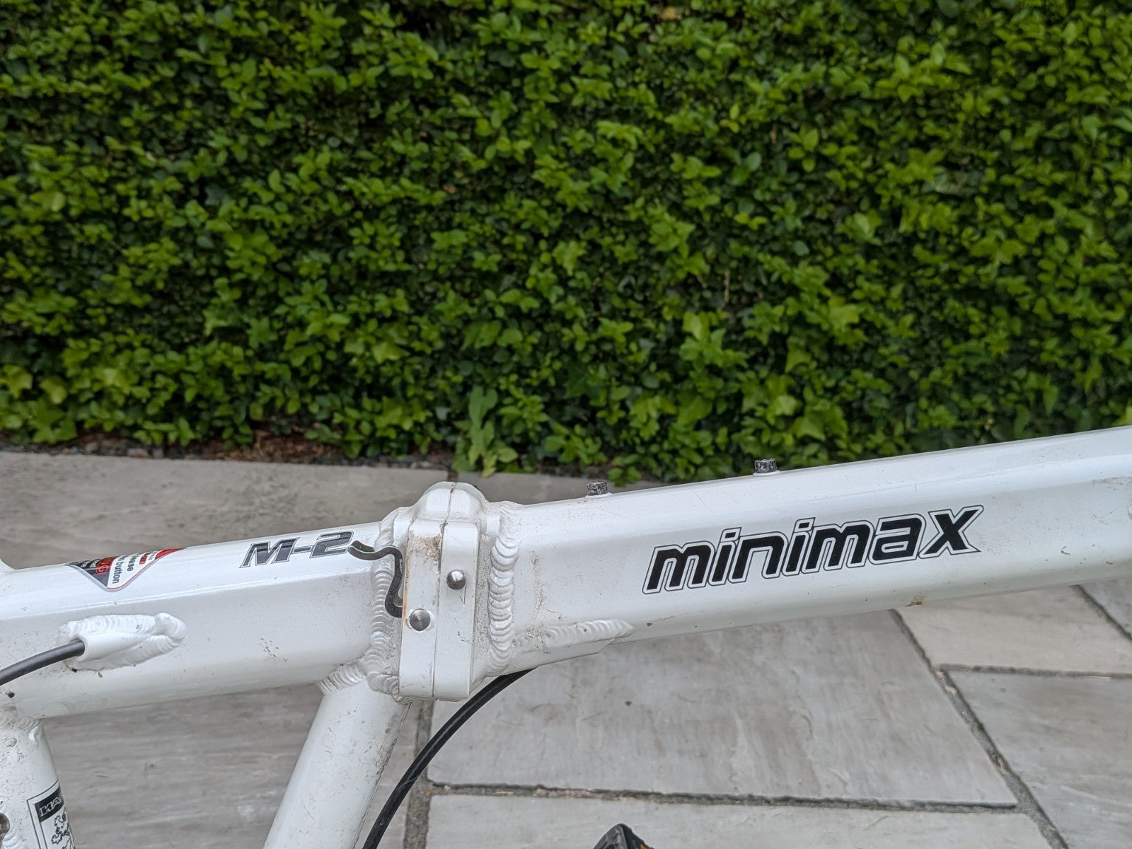 Hasabike Minimax M2 folding bicycle for adult used