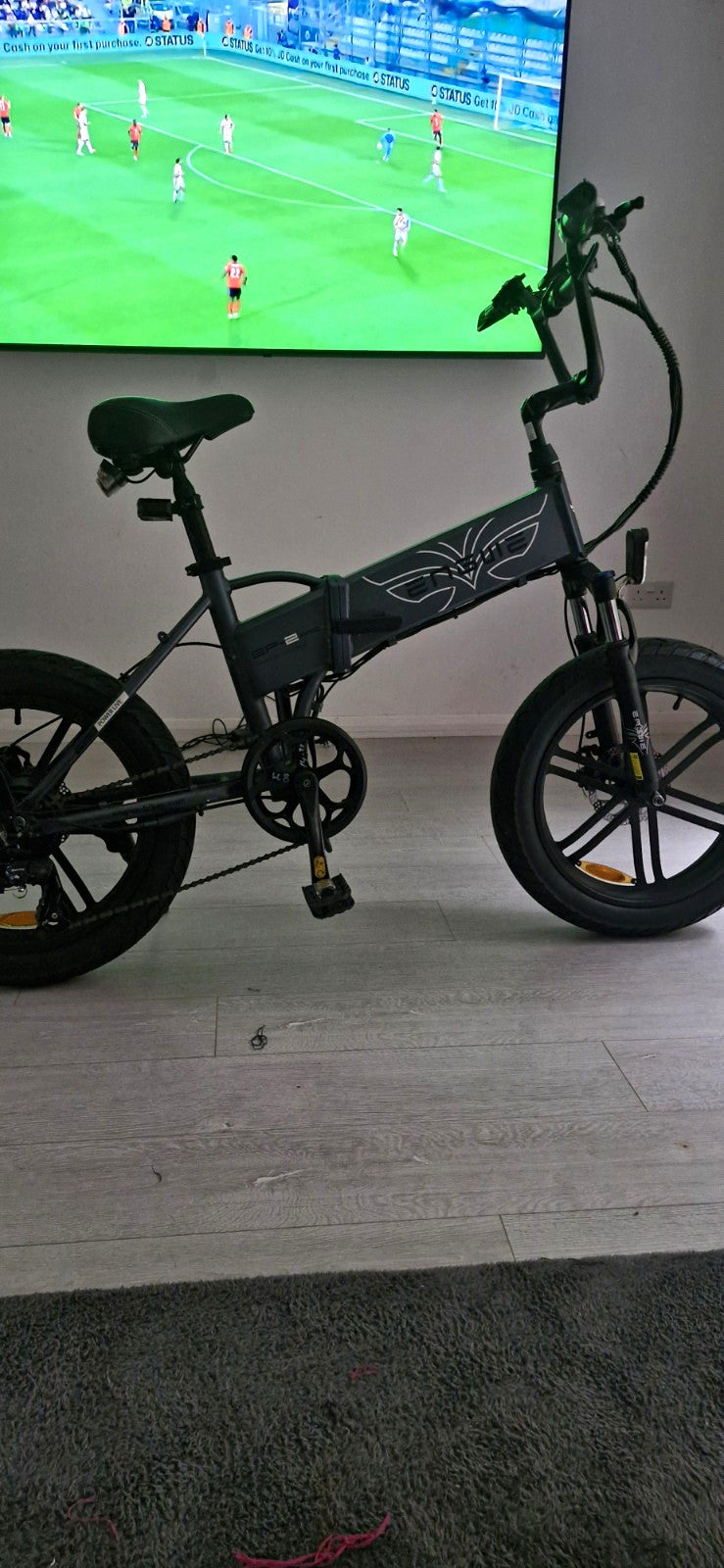 Folding Bike