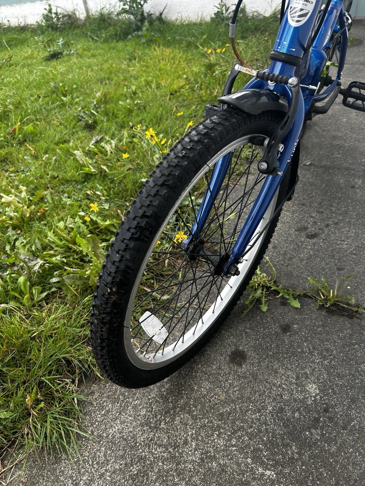 Apollo Luch Folding Bike 20 in Blue Aluminium V-Brake Mudguards Rear Light