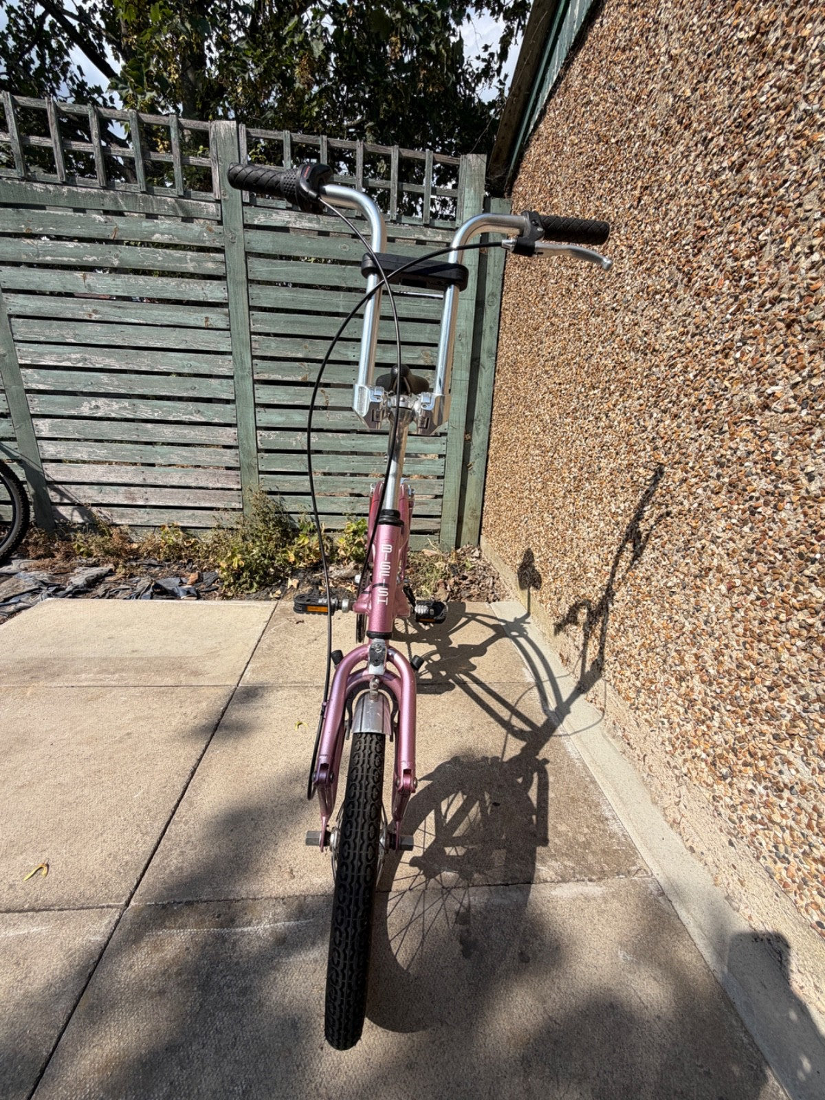 Big Fish Carnelli Folding bike