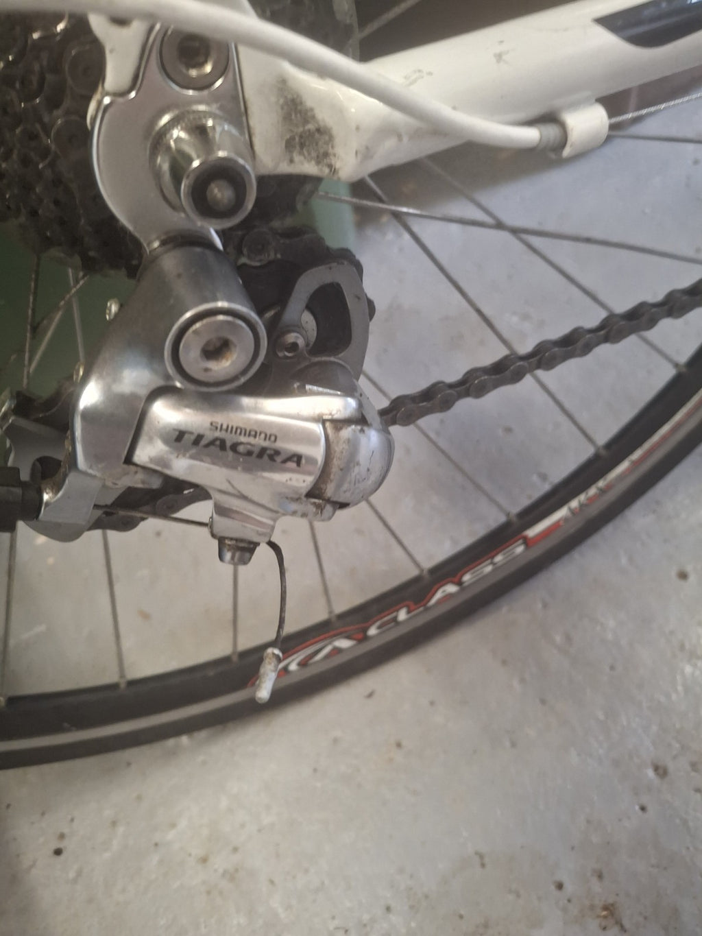 Fuji Mans Road Bike With Turbo Trainer And Pair Of Shoes Size 9