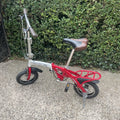GoGo Fold Up Bicycle