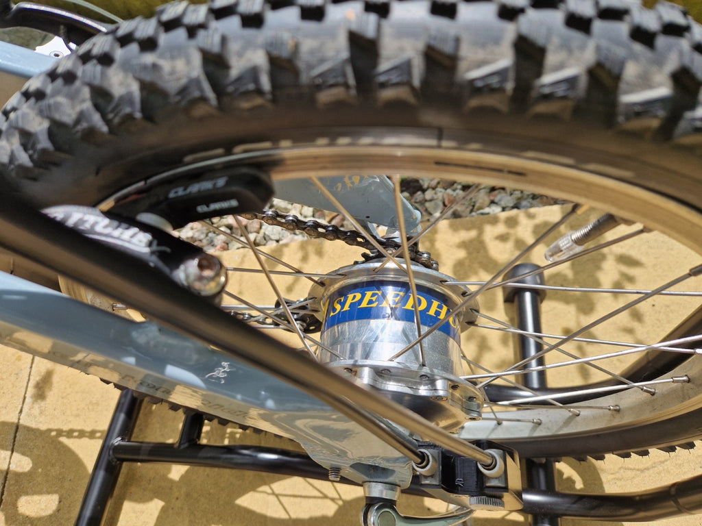 Riese and Müller Birdy Folding Bike Rohloff Classic