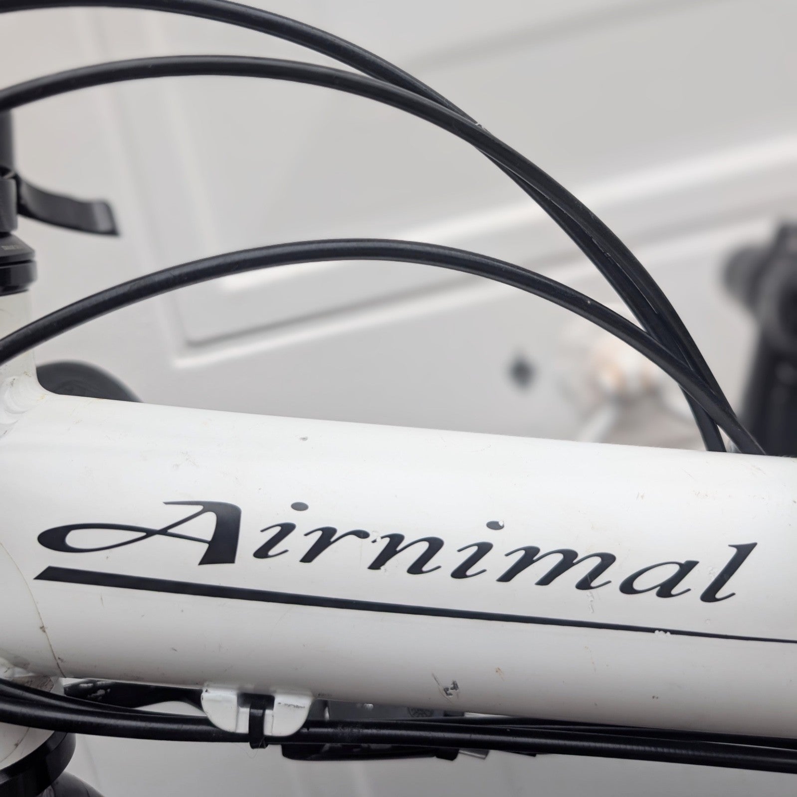 Airnimal Joey Sport Folding Bike - White - Great Mechanical Condition with Rack
