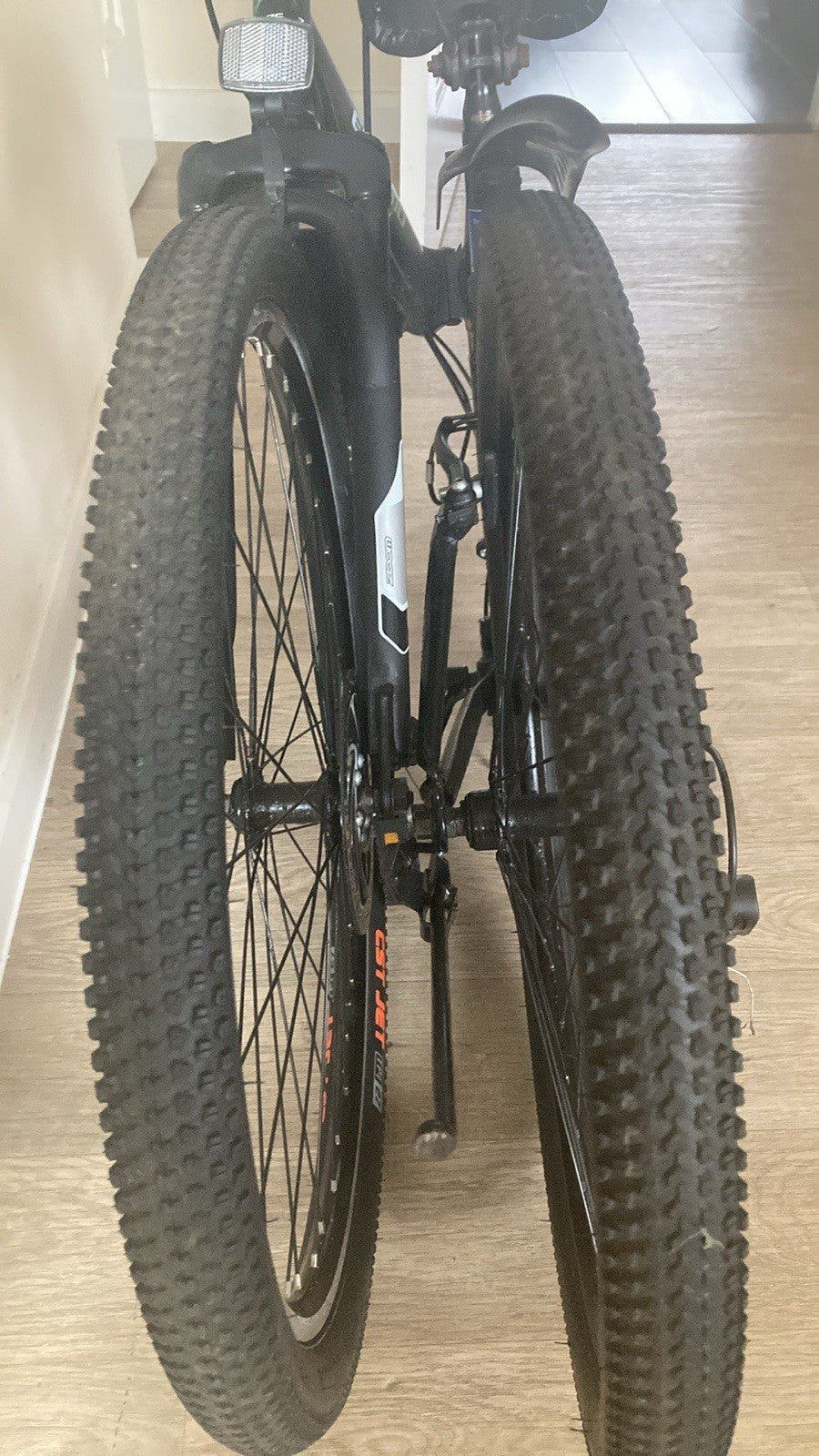 Ecosmo Folding Bicycle.
