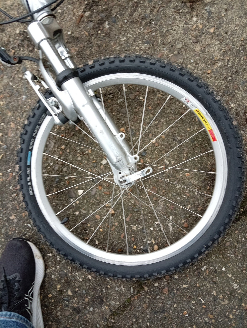Unisex Folding Bike, Alloy Frame And Rims