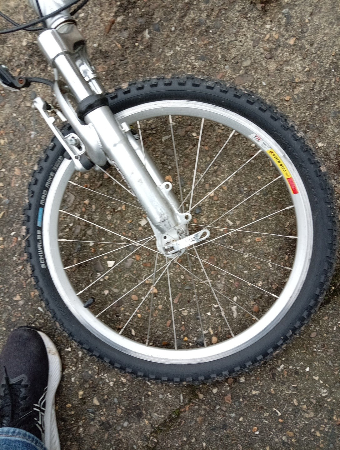 Unisex Folding Bike, Alloy Frame And Rims