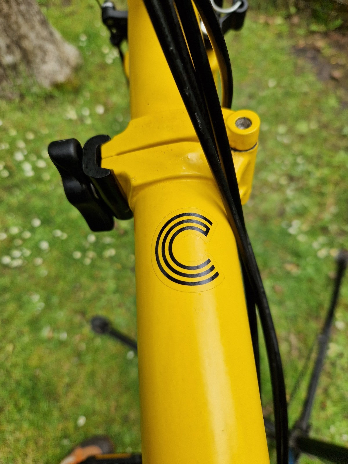 Brompton C Line 6 speed/Rack  Explore, Bumblebee Yellow/Black Mudguards LED