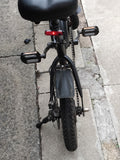 DYU 14in Folding Bike Black/Red Flat Bar Mechanical Disc Brakes Mudguards
