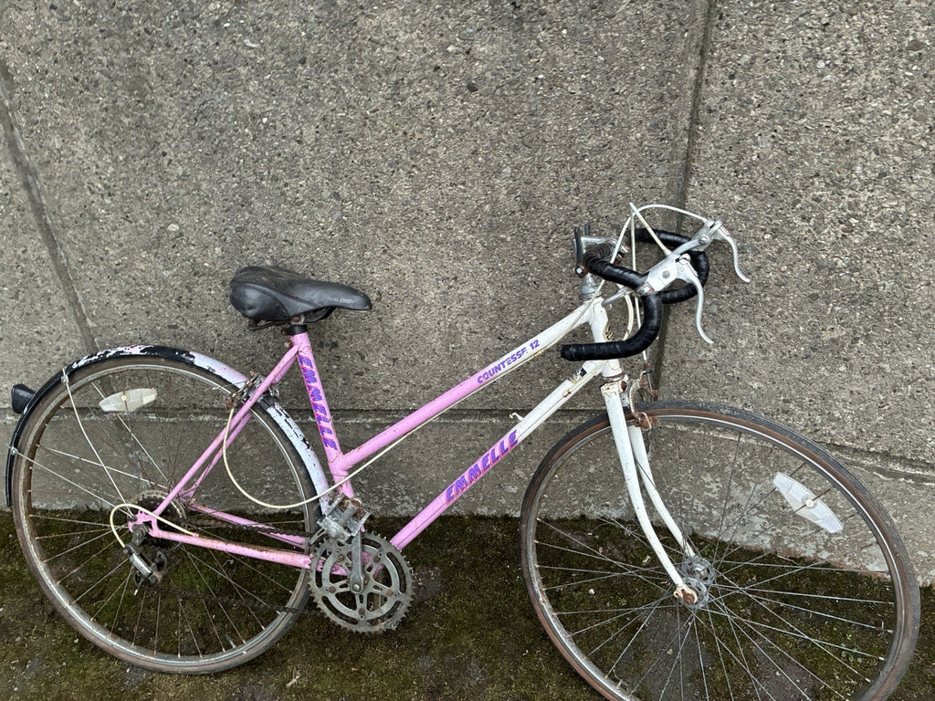 Ecosmo 26ALF08B 26 Inch Wheel Women