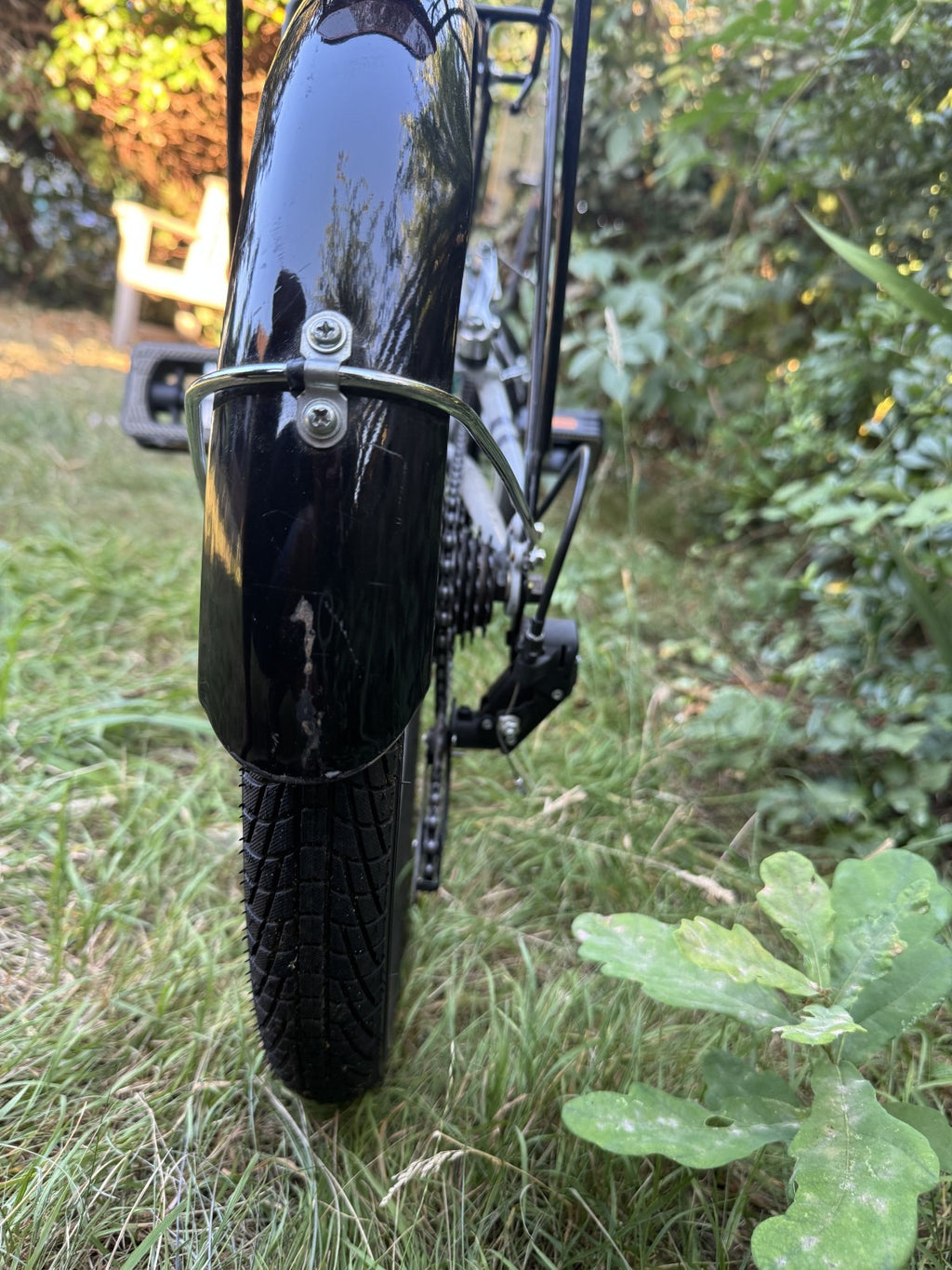 Northern folding bicycle 20