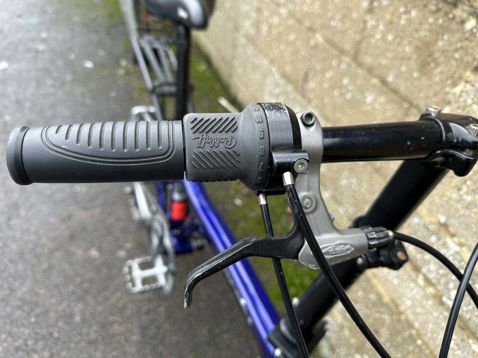 Riese And Muller Birdy Rohloff 14 Speed Folding Bike