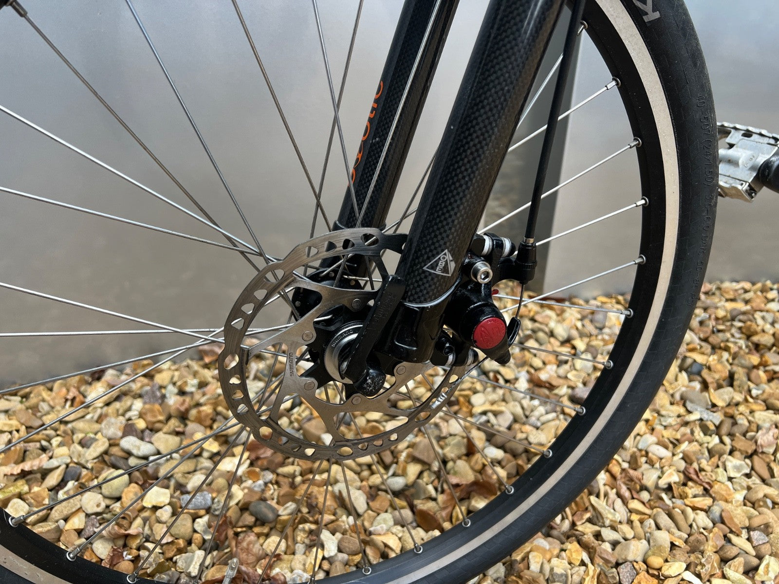 Airnimal Joey Folding go anywhere full commute Bike