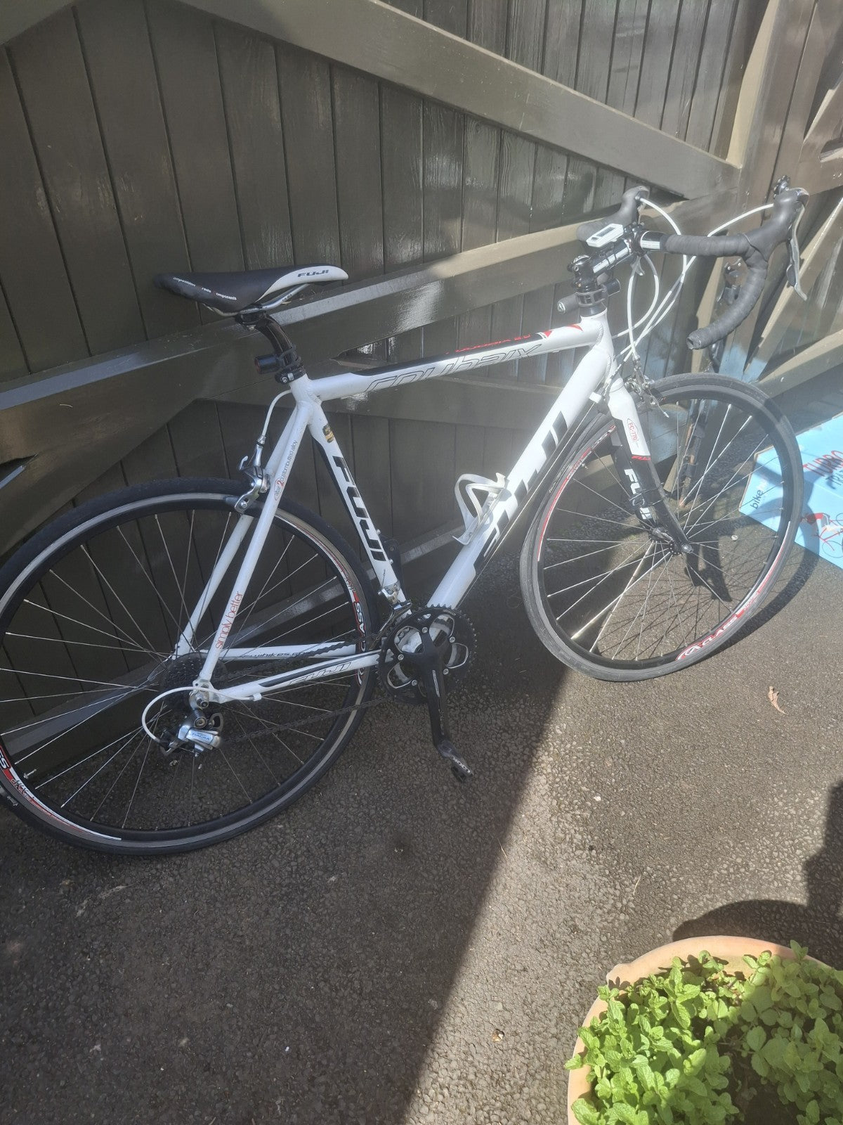Fuji Mans Road Bike With Turbo Trainer And Pair Of Shoes Size 9