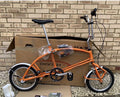 Bigfish Folding Bike