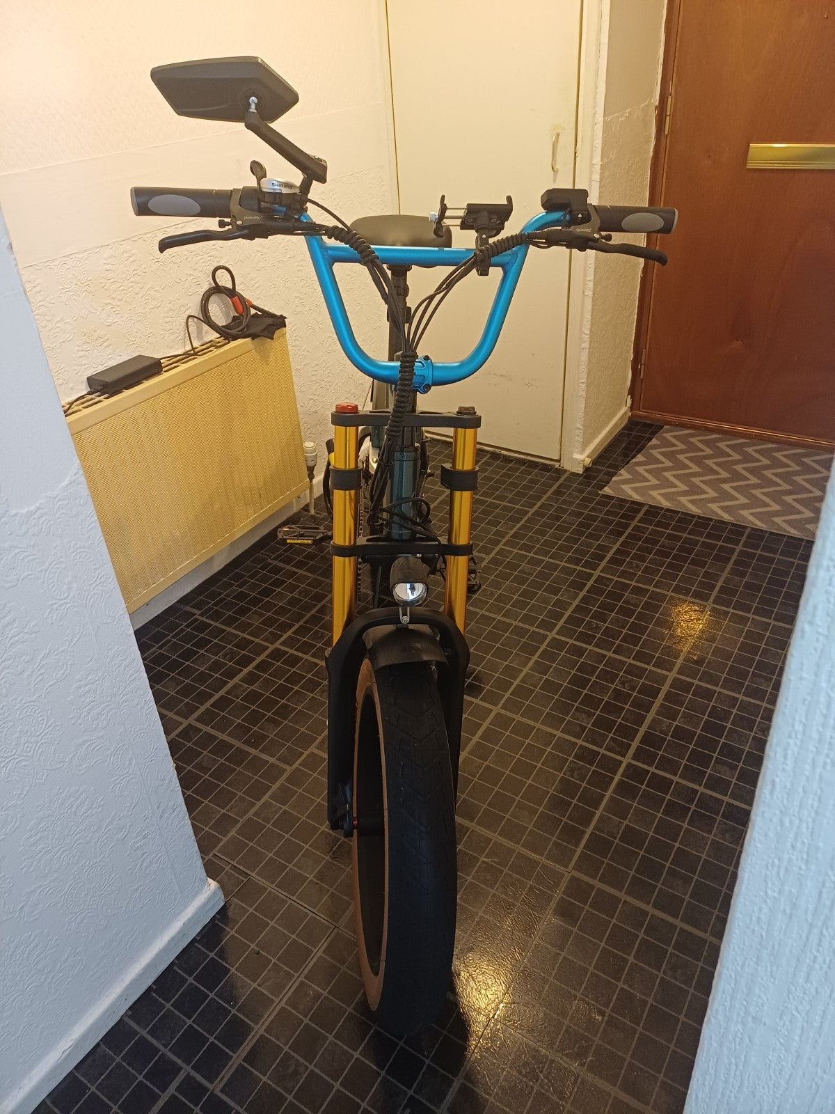 Fiido M1 Pro 2025The bicycle has been used very little for health reasons. I am