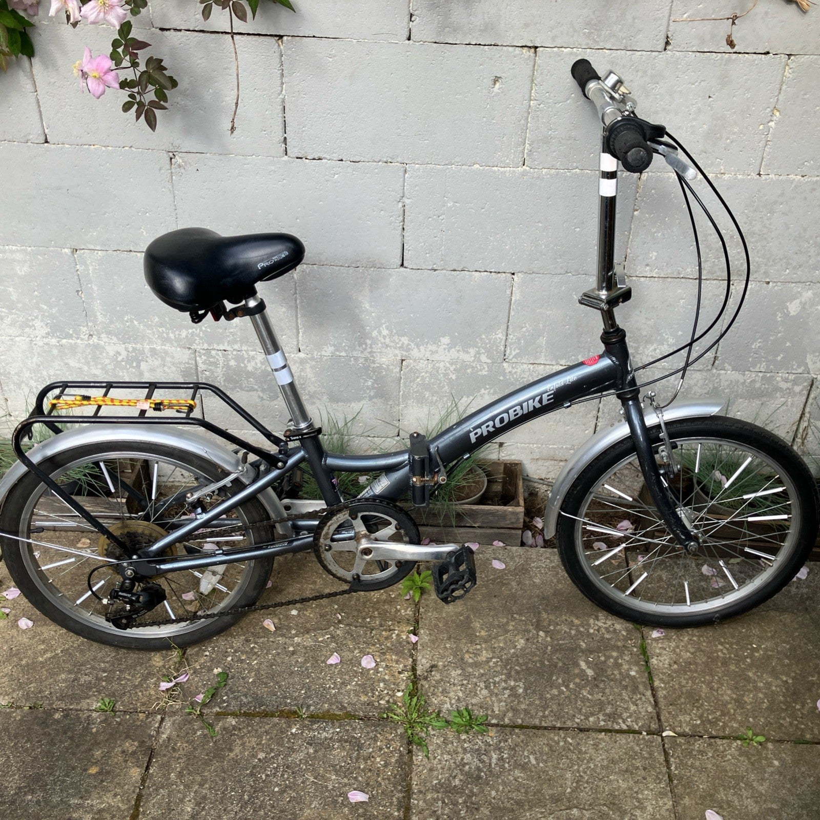 USED Enfold Lite Probike compact folding bike frame size 11 20" wheels