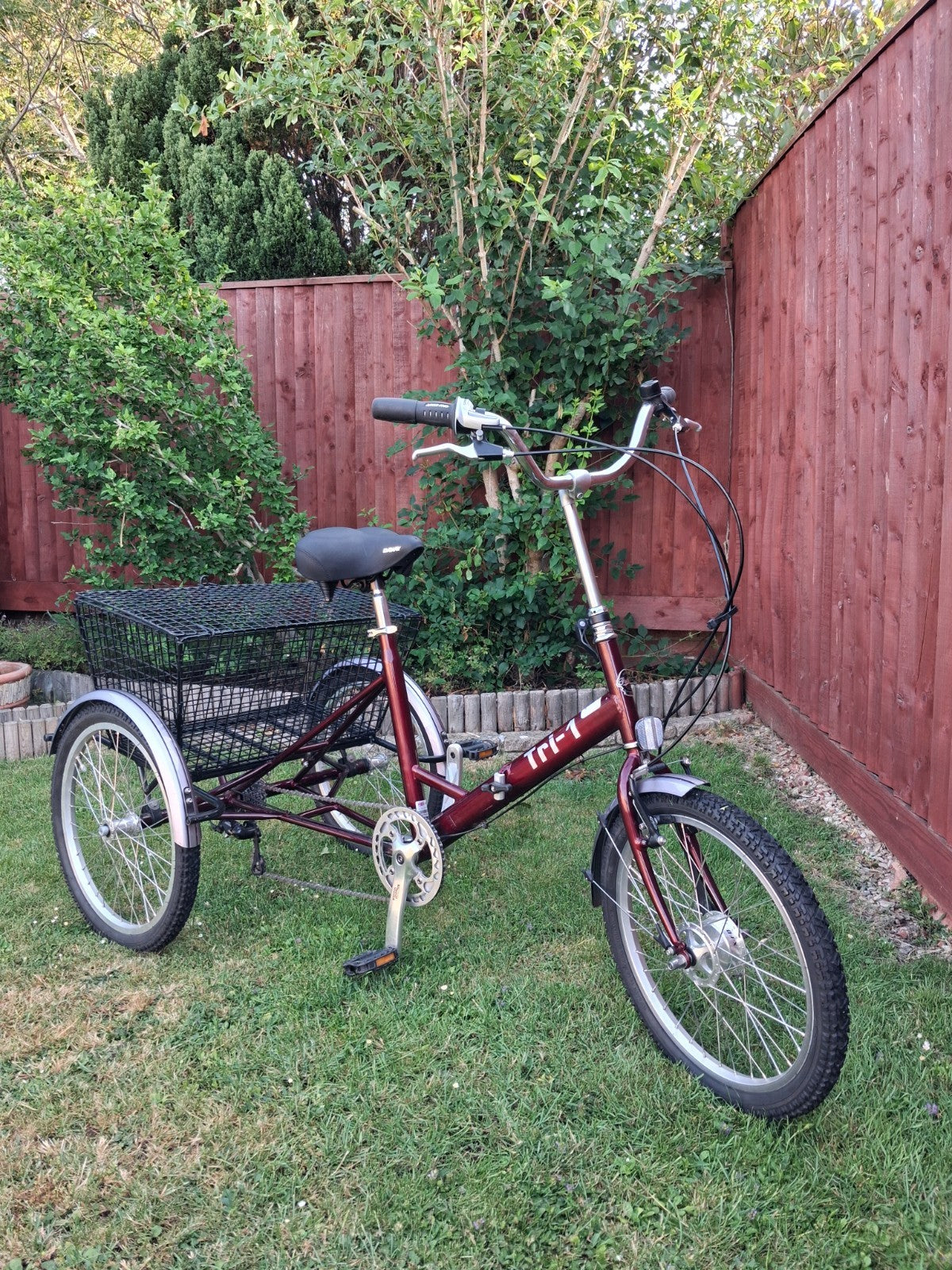 PASHLEY - Tri-1 Folding Adult Trike Burgundy Red