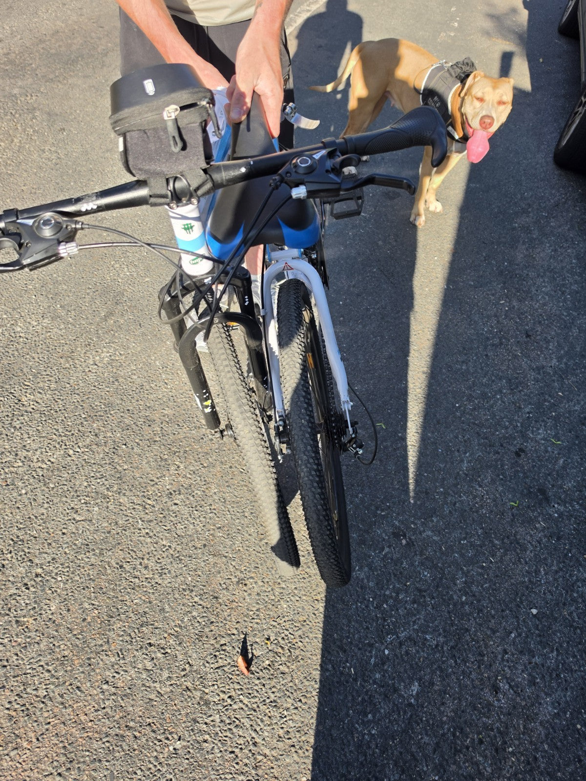 Foldable Mountain Bike