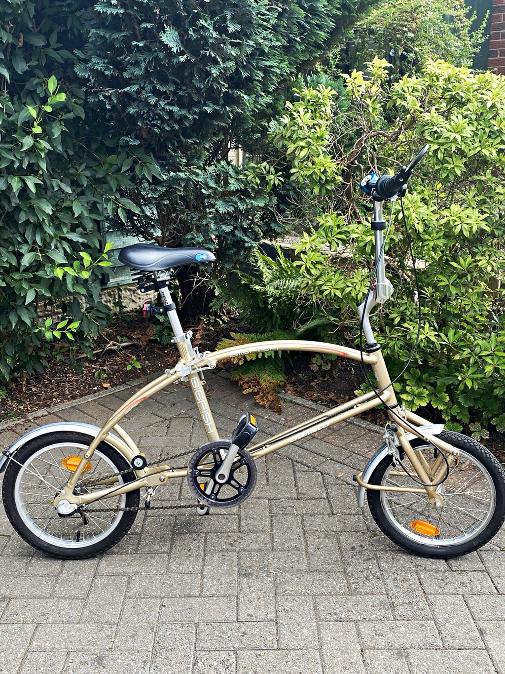 Bigfish Carnelli folding bike