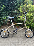 Bigfish Carnelli folding bike