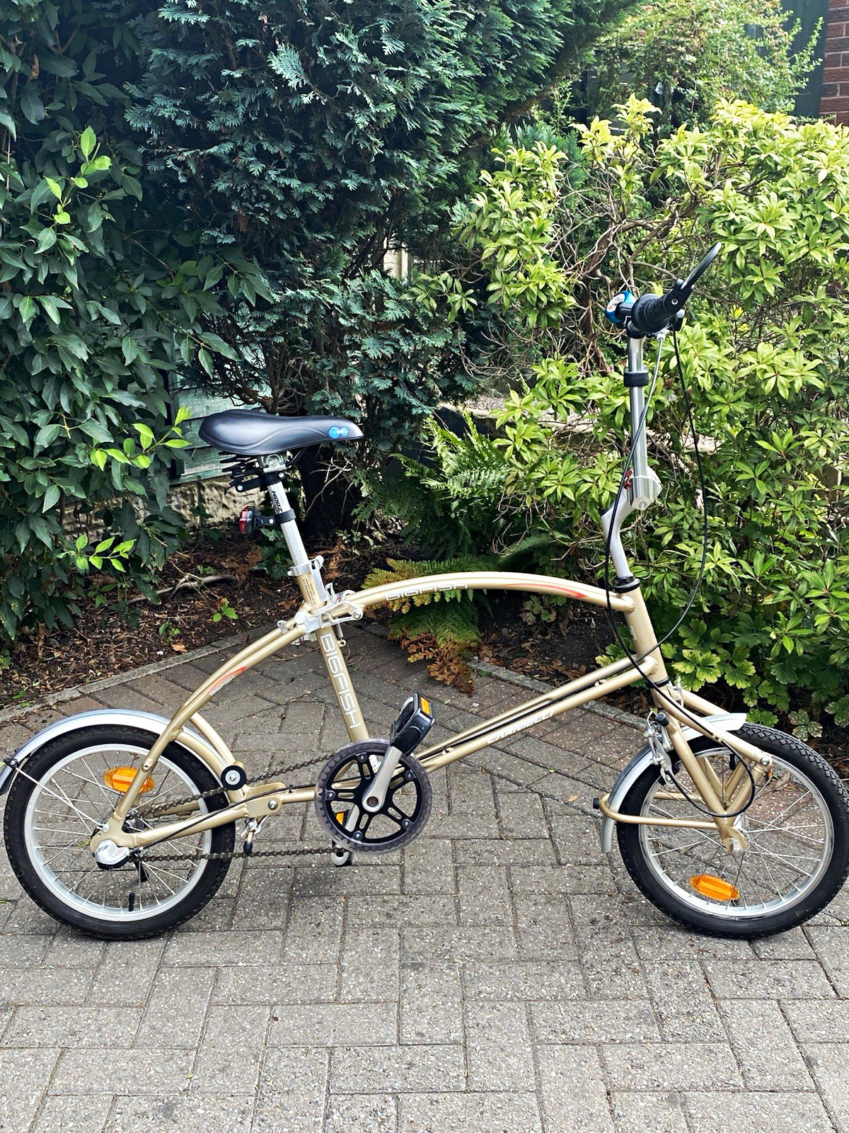 Bigfish Carnelli folding bike