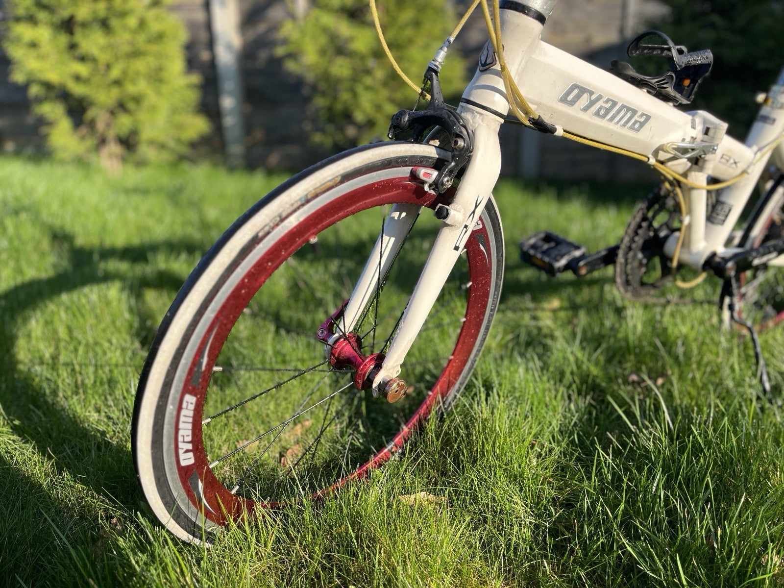 Dahon Folding Bike Ready to Ride