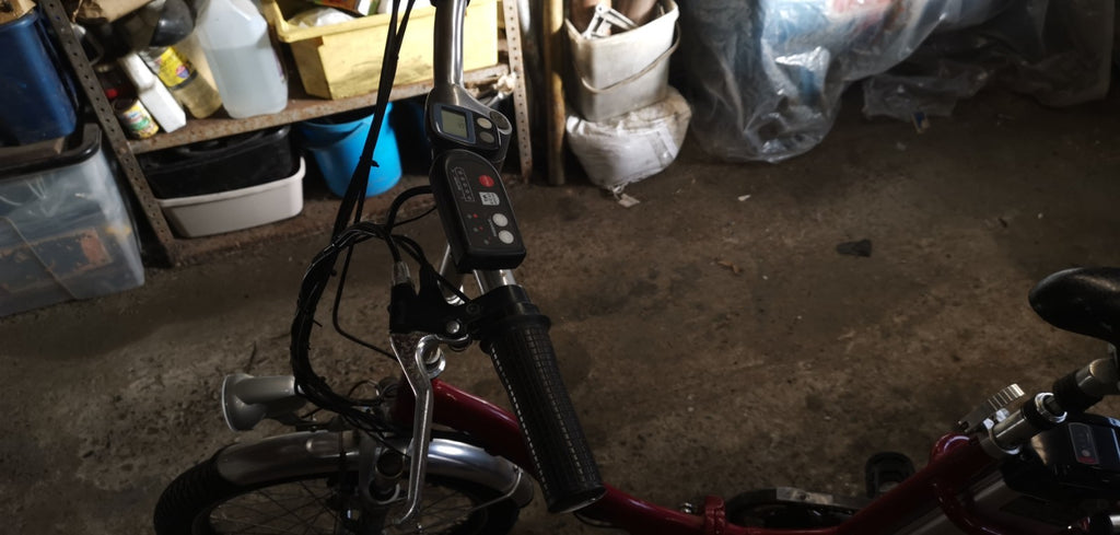 PRO-RIDER 20in E-Folding Bike 250W 36V 25km/h red