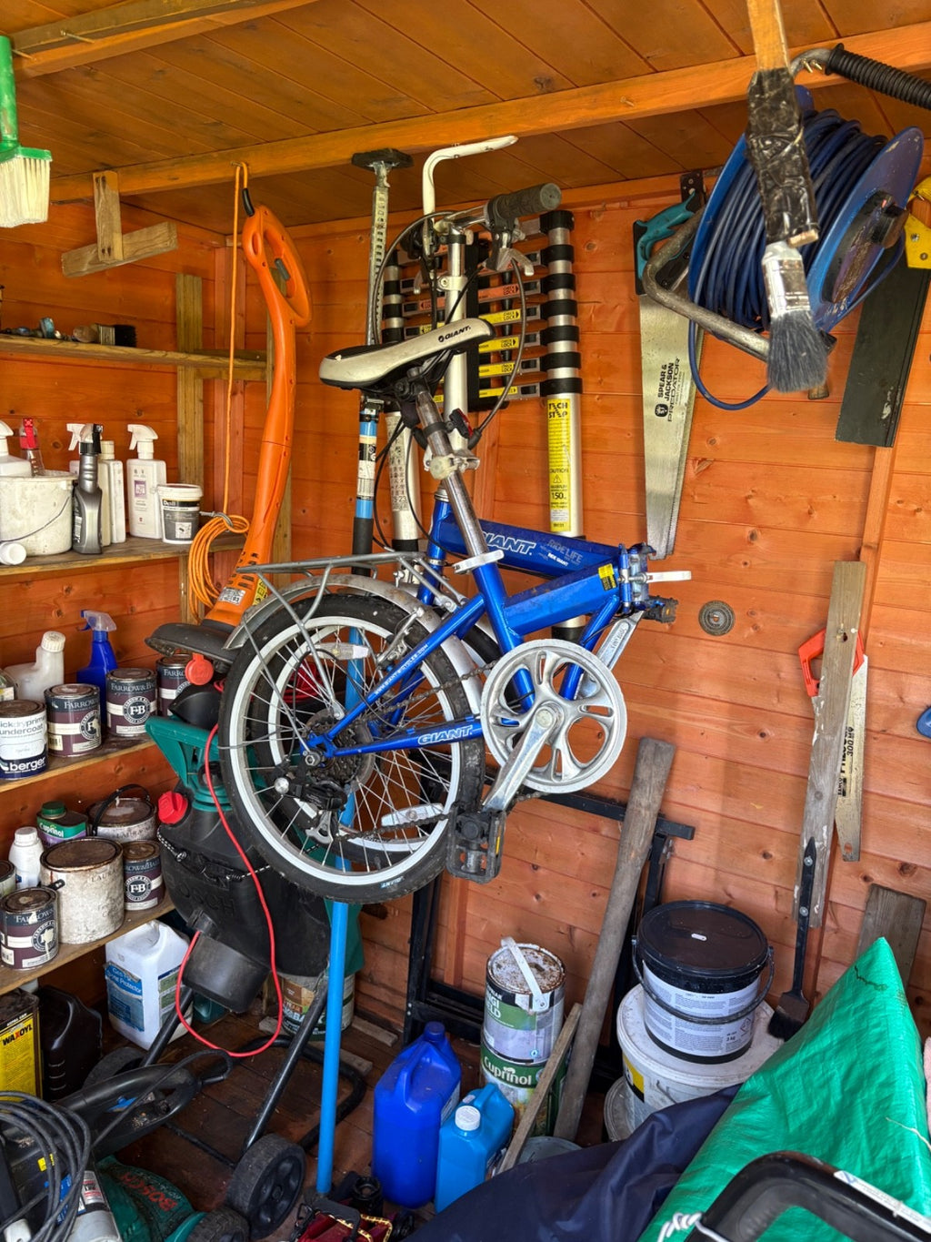 folding bicycle for adult used