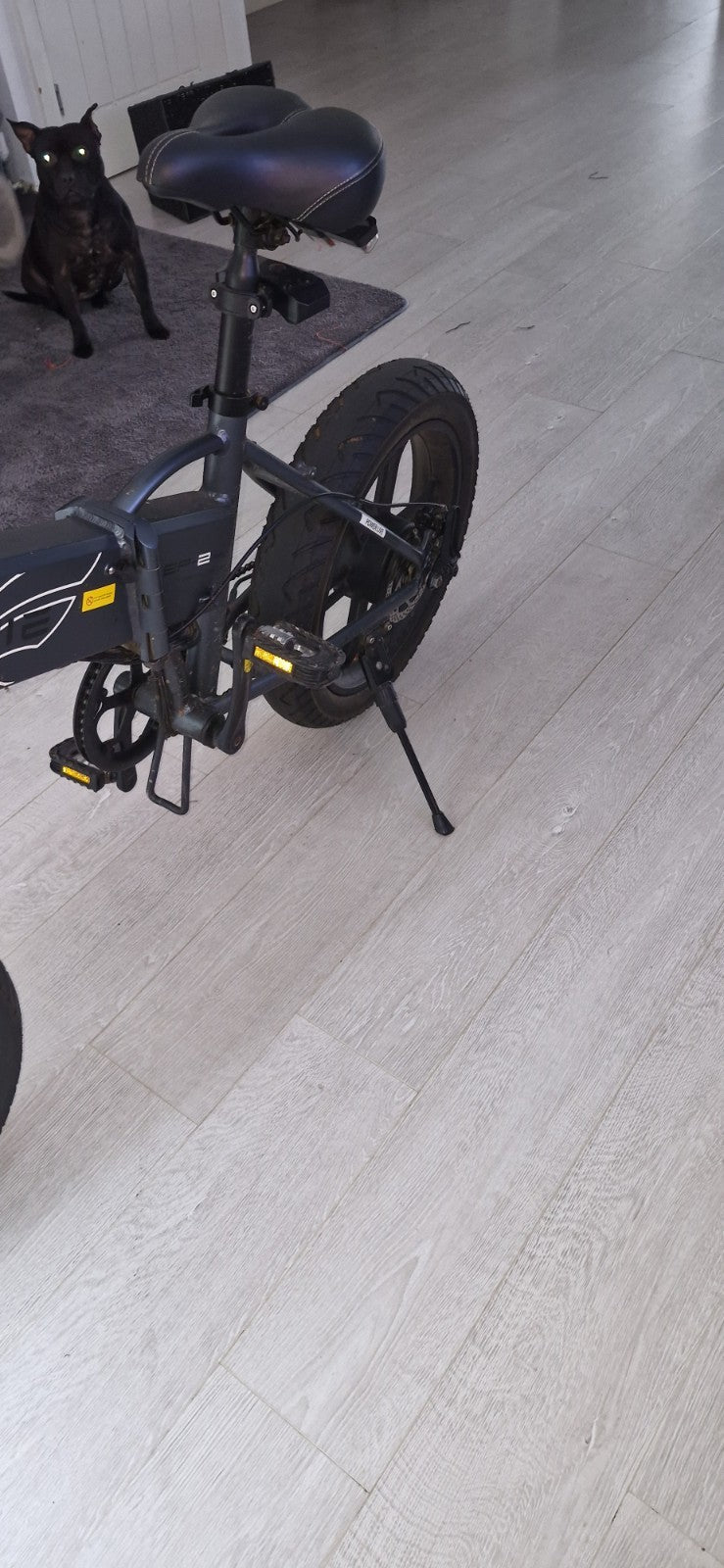 Folding Bike